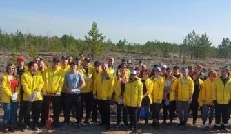 Сотрудники Рубцовского завода запасных частей высадили более 9000 саженцев сосен