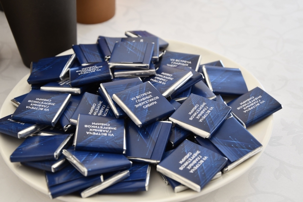 Энергия развития: в Барнауле прошла VII Встреча главных энергетиков Сибири